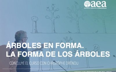 Concluye el curso ‘ÁRBOLES EN FORMA. LA FORMA DE LOS ÁRBOLES COMO CONDICIONANTE EN LA DECISIÓN DE PODAR’ con Christóphe Drénou