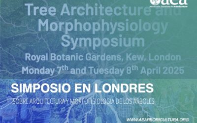 Simposio sobre Arquitectura y Morfofisiología de los Árboles