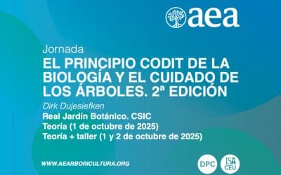 La oportunidad de actualizarse con rigor científico junto a Dirk Dujesiefken: Curso CODIT en Madrid – 2ª edición