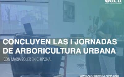 Concluye la I JORNADA DE ARBORICULTURA URBANA, Chipiona
