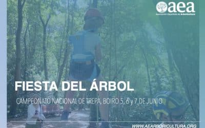 Gran fiesta del árbol para toda la familia, en el campeonato de trepa de Boiro