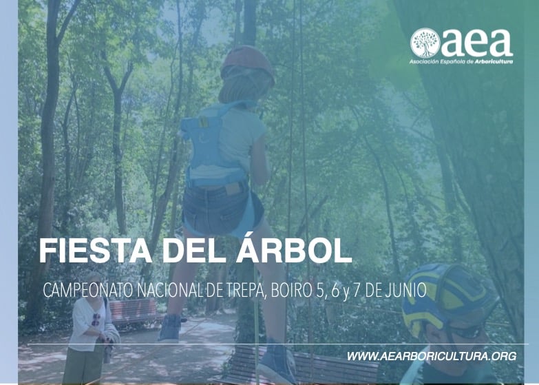 Gran fiesta del árbol para toda la familia, en el campeonato de trepa de Boiro