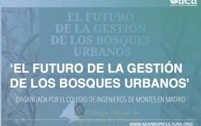 Jornada ‘EL FUTURO DE LA GESTIÓN DE LOS BOSQUES URBANOS’