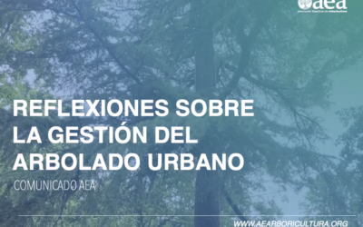 Comunicado AEA: REFLEXIONES SOBRE LA GESTIÓN DEL ARBOLADO URBANO