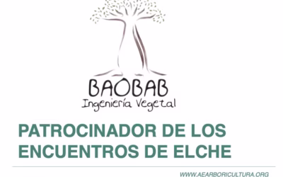 Baobab, patrocinador de los Encuentros de Arboricultura en Elche 2025