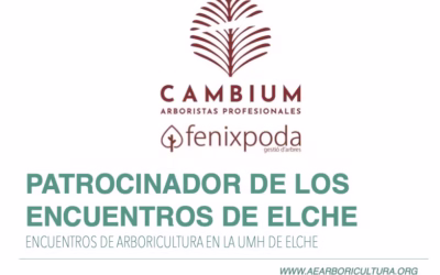 Cambium, patrocinador de los Encuentros de Arboricultura en Elche 2025