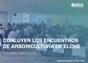 ELCHE ENCUENTROS