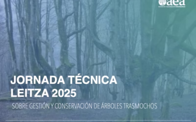 LEITZA 2025, Jornada técnica sobre gestión y conservación de árboles trasmochos