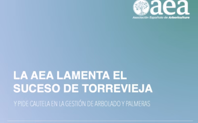 La AEA lamenta el suceso de Torrevieja y pide cautela en la gestión del arbolado y palmeras urbanas