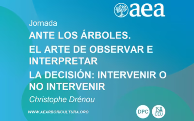 Nueva formación: ‘ANTE LOS ÁRBOLES. El arte de observar e interpretar. La decisión: intervenir o no intervenir’