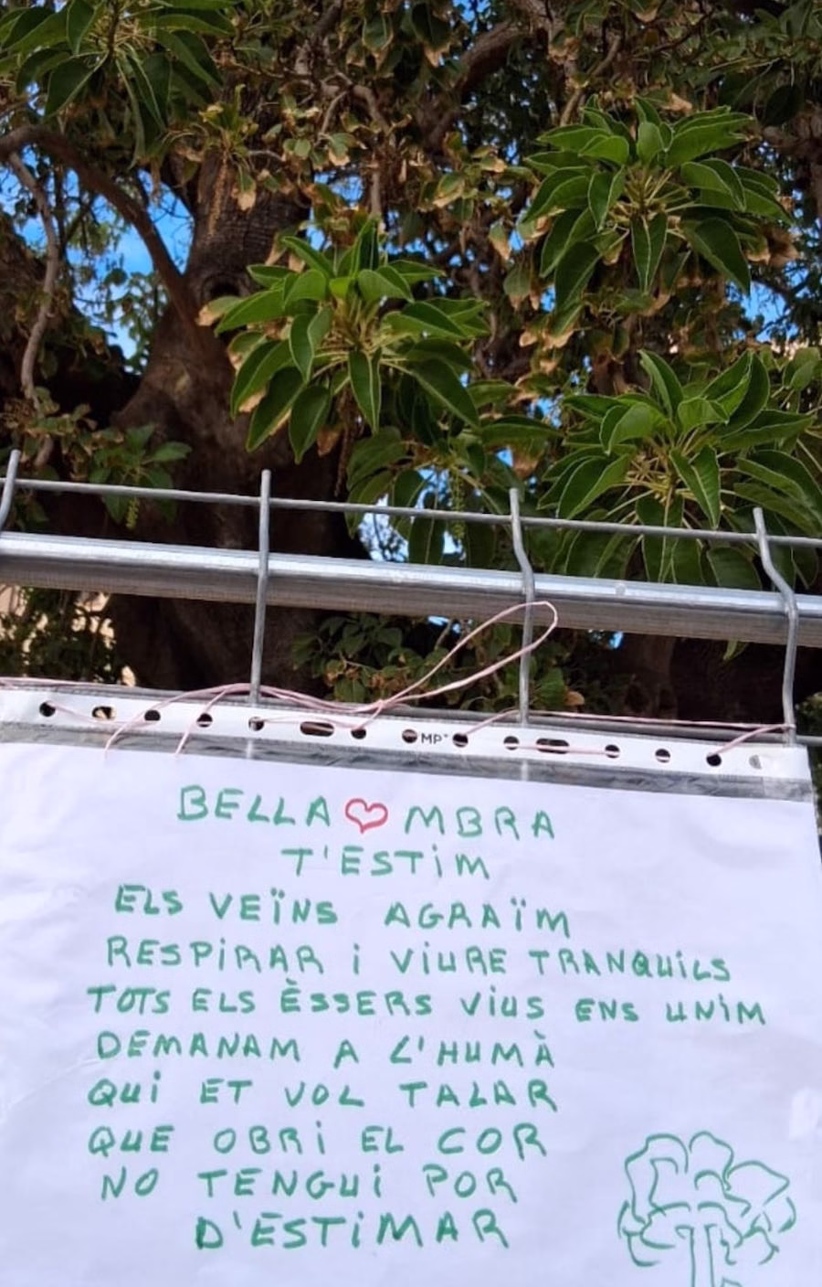 Queja vecinal ante esta tala indiscriminada. No se han valorado ni los beneficios ecosistémicos ni los culturales ni patrimoniales.