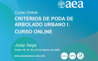 Nuevo curso online: CRITERIOS DE PODA DE ARBOLADO URBANO I