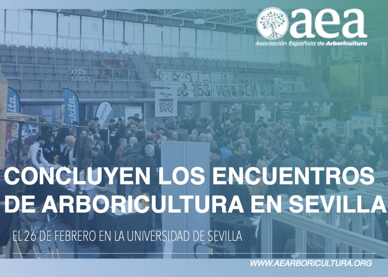 Concluyen los ‘Encuentros de Arboricultura Sevilla 2026’