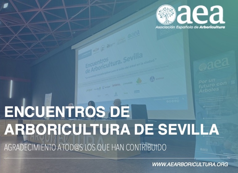 ‘Encuentros de Arboricultura Sevilla 2026’, ¡Gracias a tod@s!