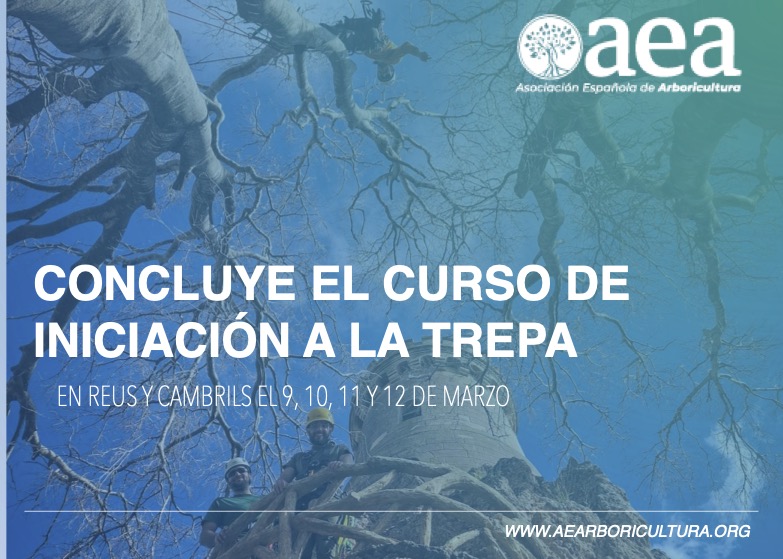 Concluye el curso INTRODUCCIÓN A LA TREPA Y LA ARBORICULTURA MODERNA 2026