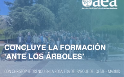 Concluye la jornada: ‘ANTE LOS ÁRBOLES. El arte de observar e interpretar. La decisión: intervenir o no intervenir’