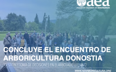 Concluyen los Encuentros de Arboricultura en Donostia: ‘Gestión y toma de decisiones en el arbolado urbano’