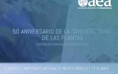 Exposición ’50 años de la Arquitectura de las Plantas’ en homenaje a Hallé en el Campeonato Nacional de Trepa de Árboles