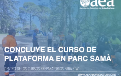 Concluye el curso ‘USO Y MANEJO DE PLATAFORMA ORIENTADO A TRABAJOS EN ARBORICULTURA’.
