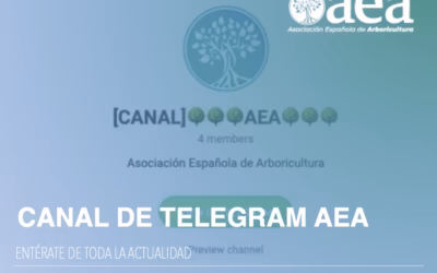 Descubre la actualidad de la AEA al instante con el Canal de Telegram