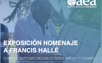 Exposición ’50 años de la Arquitectura de las Plantas’ en homenaje a Hallé en el Campeonato Nacional de Trepa de Árboles