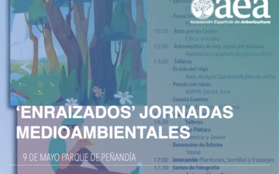 IV Jornadas medioambientales. Enraizados, Parque de Peñandía