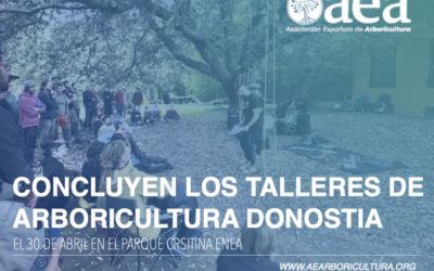 Concluyen los TALLERES PARTICIPATIVOS DE ARBORICULTURA Ergonomía y efectividad en trepa, Donostia 2026