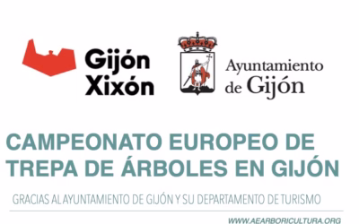 Gijón, anfitrión del Campeonato Europeo de Trepa, ISA 2026