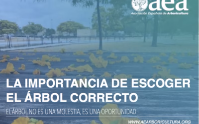 La importancia de escoger la especie correcta para el lugar adecuado