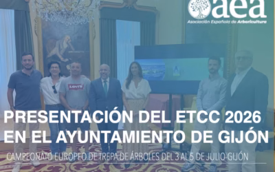 Presentación del Campeonato Europeo de Trepa de Árboles 2026 en Gijón