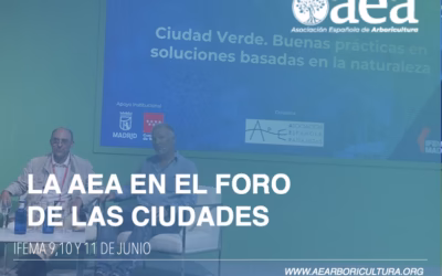 La AEA participa en el Foro de las Ciudades de Madrid 2026
