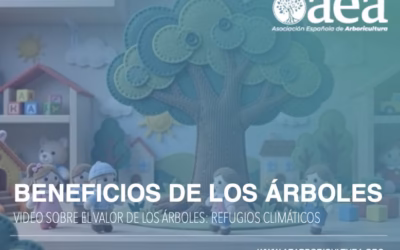 El valor de los árboles: refrigeradores naturales y pilares indispensables para la vida y el entorno urbano