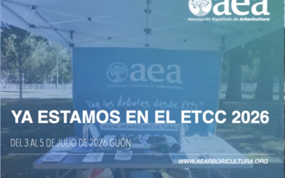 Ya estamos en el Campeonato Europeo de Trepa, ISA 2026 (ETCC)