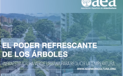 El poder refrescante de los árboles ante las islas de calor