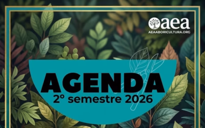 AGENDA DE FORMACIÓN DEL 2º SEMESTRE 2026