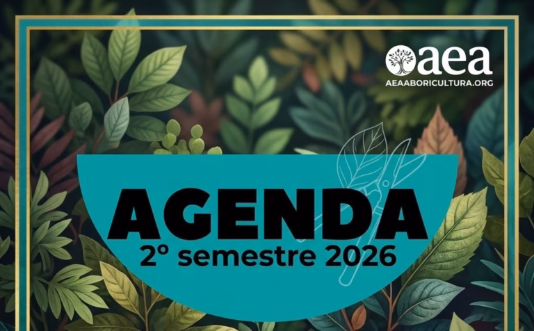 AGENDA DE FORMACIÓN DEL 2º SEMESTRE 2026