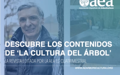 Desarrollo de la resolución de conflictos con arbolado: ¿Conocimientos prácticos o Soluciones técnicas caras? Artículo en la revista ‘La Cultura del Árbol’