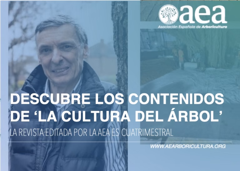 Desarrollo de la resolución de conflictos con arbolado: ¿Conocimientos prácticos o Soluciones técnicas caras? Artículo en la revista ‘La Cultura del Árbol’