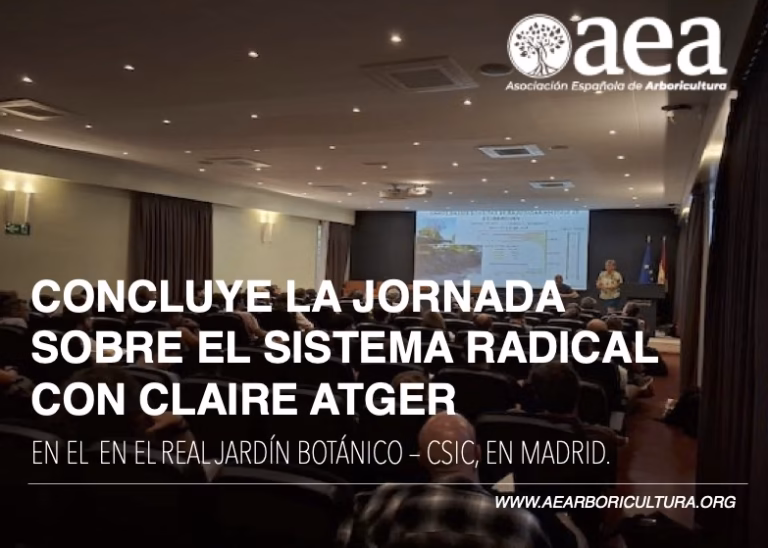 Concluye la jornada ‘El sistema radical. Comprender, observar e interpretar para una gestión responsable del árbol’, con Claire Atger