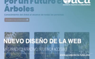 Estrenamos diseño: Una web más práctica y moderna para la AEA