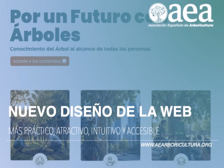Estrenamos diseño: Una web más práctica y moderna para la AEA