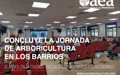 Concluye la jornada del Ayuntamiento de Los Barrios ‘El árbol en la ciudad: claves para entenderlo, diseñarlo y conservarlo’